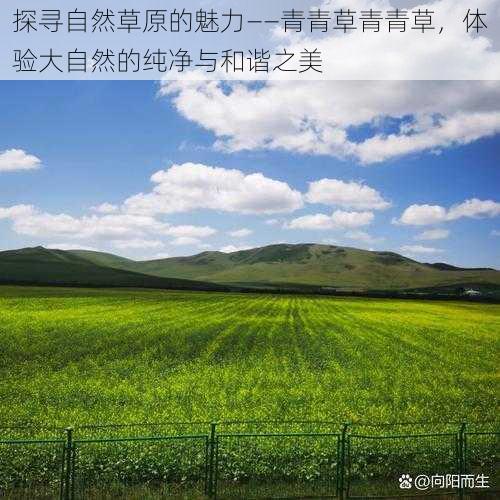 探寻自然草原的魅力——青青草青青草,体验大自然的纯净与和谐之美