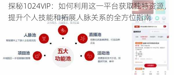 探秘1024VIP:如何利用这一平台获取独特资源,提升个人技能和拓展人脉关系的全方位指南