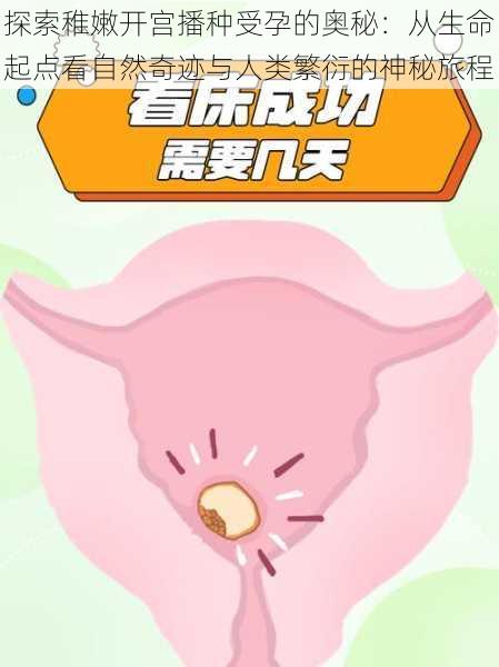 探索稚嫩开宫播种受孕的奥秘:从生命起点看自然奇迹与人类繁衍的神秘旅程