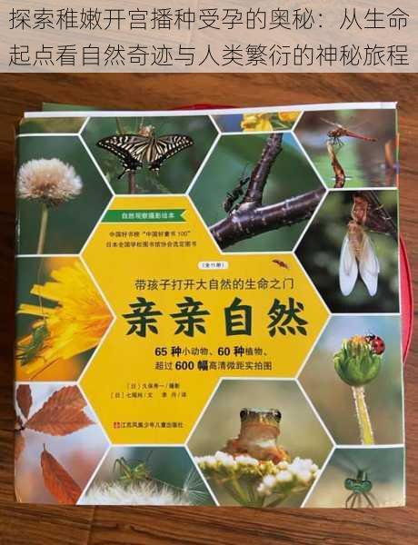 探索稚嫩开宫播种受孕的奥秘:从生命起点看自然奇迹与人类繁衍的神秘旅程