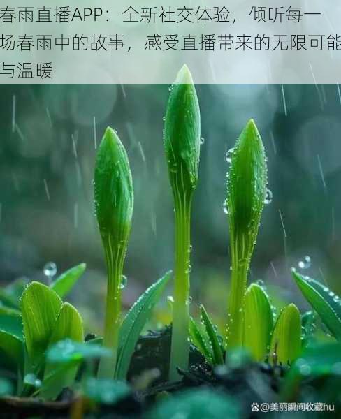 春雨直播APP:全新社交体验,倾听每一场春雨中的故事,感受直播带来的无限可能与温暖