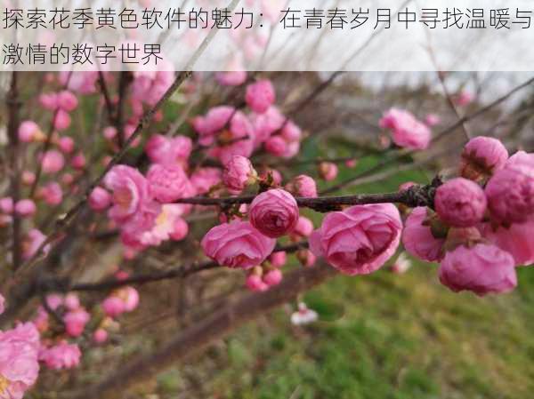 探索花季黄色软件的魅力:在青春岁月中寻找温暖与激情的数字世界