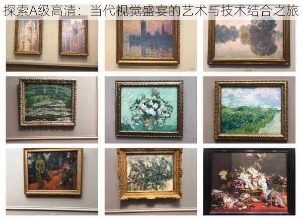 探索A级高清:当代视觉盛宴的艺术与技术结合之旅