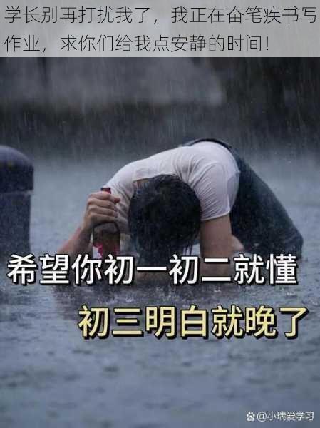 学长别再打扰我了，我正在奋笔疾书写作业，求你们给我点安静的时间！