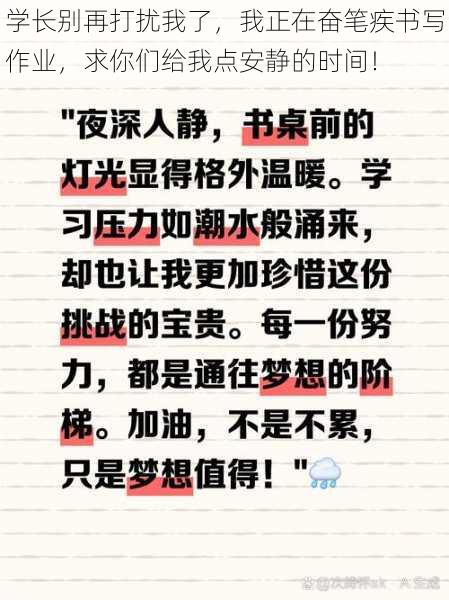 学长别再打扰我了，我正在奋笔疾书写作业，求你们给我点安静的时间！