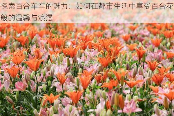 探索百合车车的魅力:如何在都市生活中享受百合花般的温馨与浪漫
