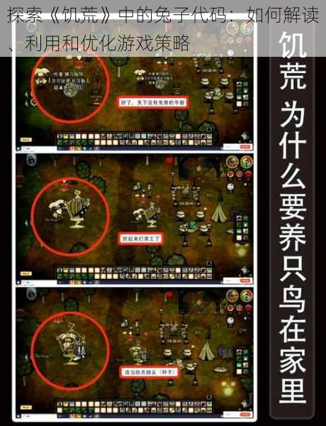 探索《饥荒》中的兔子代码:如何解读、利用和优化游戏策略