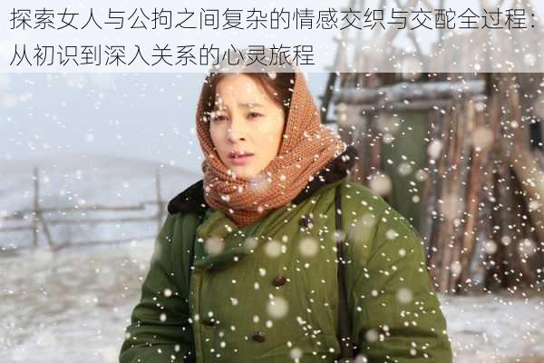探索女人与公拘之间复杂的情感交织与交酡全过程:从初识到深入关系的心灵旅程