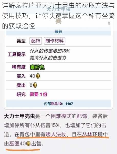 详解泰拉瑞亚大力士甲虫的获取方法与使用技巧,让你快速掌握这个稀有坐骑的获取途径