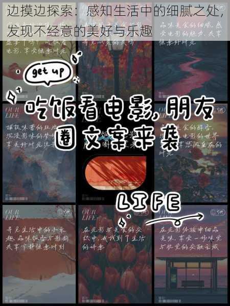 边摸边探索:感知生活中的细腻之处,发现不经意的美好与乐趣
