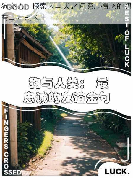 狗交人:探索人与犬之间深厚情感的纽带与互动故事