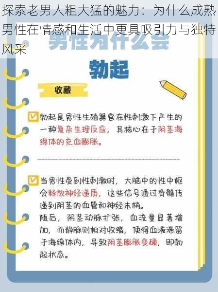 探索老男人粗大猛的魅力：为什么成熟男性在情感和生活中更具吸引力与独特风采