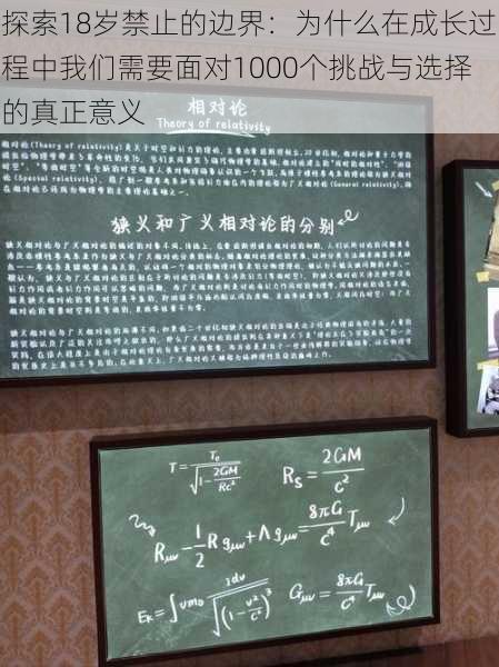 探索18岁禁止的边界:为什么在成长过程中我们需要面对1000个挑战与选择的真正意义