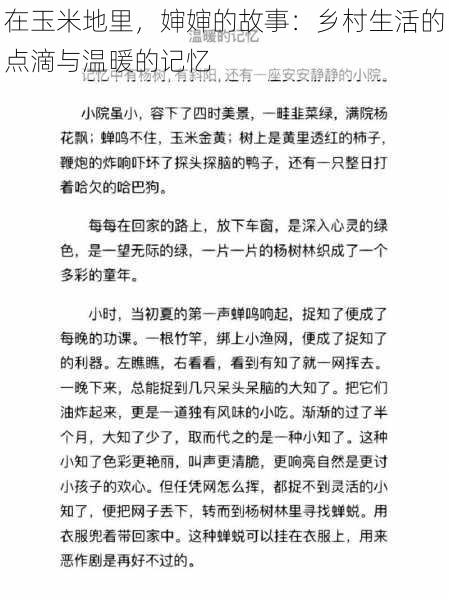在玉米地里,婶婶的故事:乡村生活的点滴与温暖的记忆