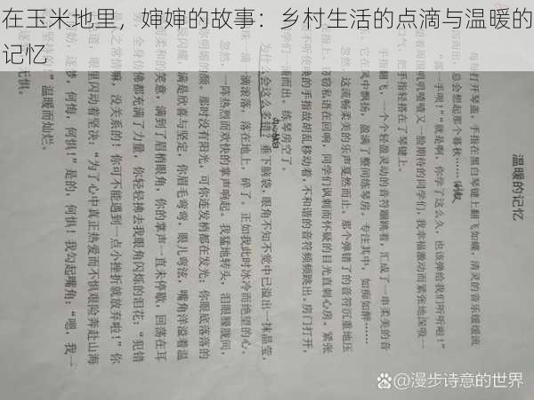 在玉米地里，婶婶的故事：乡村生活的点滴与温暖的记忆