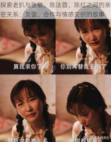 探索老扒与张敏、陈法蓉、陈红之间的亲密关系：友谊、合作与情感交织的故事