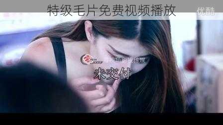 特级毛片免费视频播放
