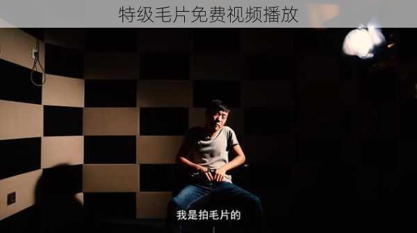 特级毛片免费视频播放