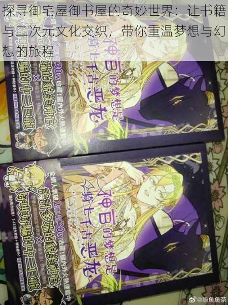 探寻御宅屋御书屋的奇妙世界：让书籍与二次元文化交织，带你重温梦想与幻想的旅程