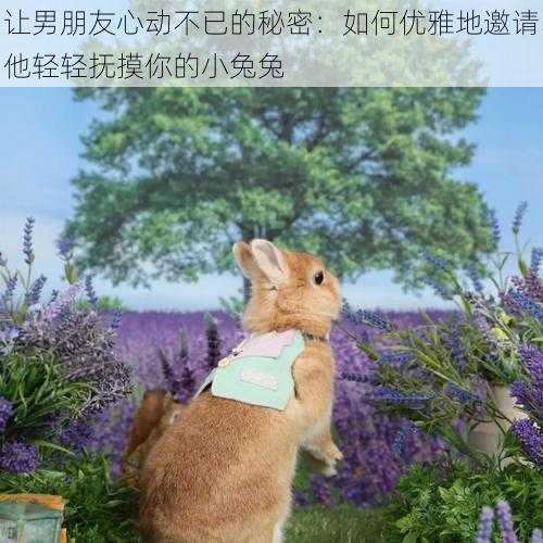 让男朋友心动不已的秘密：如何优雅地邀请他轻轻抚摸你的小兔兔