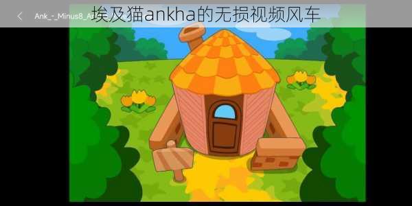 埃及猫ankha的无损视频风车