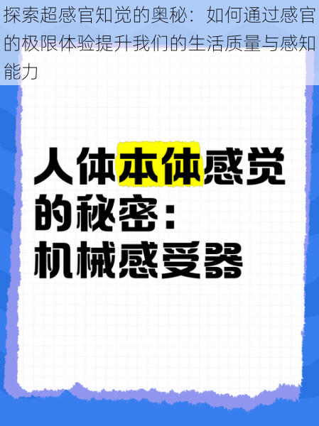 探索超感官知觉的奥秘：如何通过感官的极限体验提升我们的生活质量与感知能力
