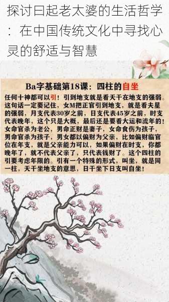 探讨曰起老太婆的生活哲学：在中国传统文化中寻找心灵的舒适与智慧