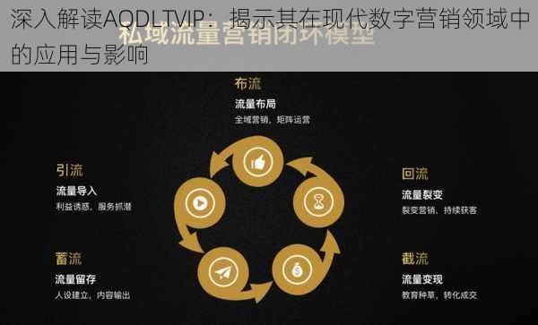 深入解读AQDLTVIP:揭示其在现代数字营销领域中的应用与影响