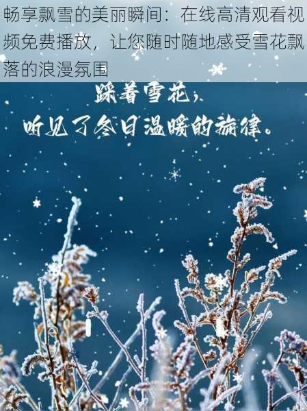 畅享飘雪的美丽瞬间:在线高清观看视频免费播放,让您随时随地感受雪花飘落的浪漫氛围