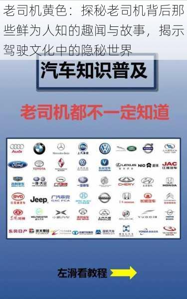 老司机黄色:探秘老司机背后那些鲜为人知的趣闻与故事,揭示驾驶文化中的隐秘世界