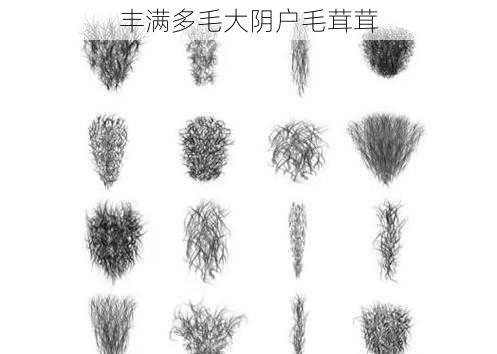 丰满多毛大阴户毛茸茸