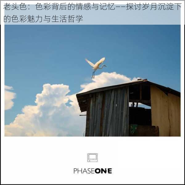 老头色：色彩背后的情感与记忆——探讨岁月沉淀下的色彩魅力与生活哲学