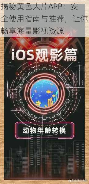 揭秘黄色大片APP:安全使用指南与推荐,让你畅享海量影视资源