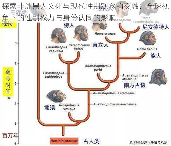 探索非洲黑人文化与现代性别观念的交融:全球视角下的性别权力与身份认同的影响