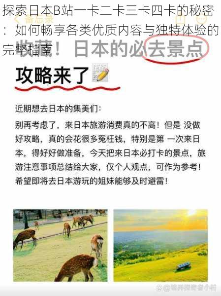 探索日本B站一卡二卡三卡四卡的秘密:如何畅享各类优质内容与独特体验的完整指南