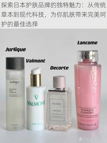 探索日本护肤品牌的独特魅力：从传统草本到现代科技，为你肌肤带来完美呵护的最佳选择
