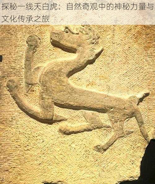 探秘一线天白虎:自然奇观中的神秘力量与文化传承之旅