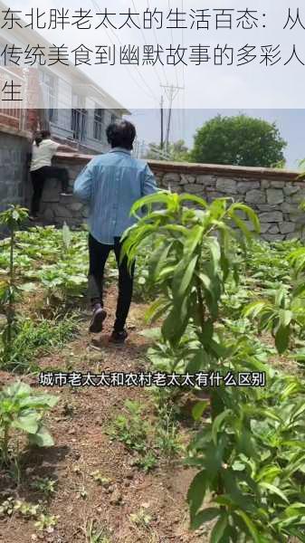 东北胖老太太的生活百态：从传统美食到幽默故事的多彩人生