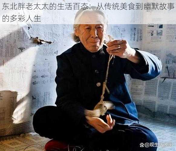 东北胖老太太的生活百态：从传统美食到幽默故事的多彩人生