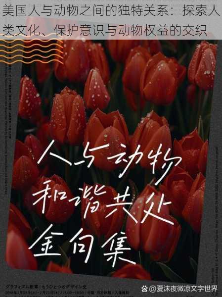 美国人与动物之间的独特关系:探索人类文化、保护意识与动物权益的交织