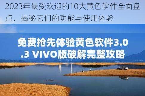 2023年最受欢迎的10大黄色软件全面盘点，揭秘它们的功能与使用体验