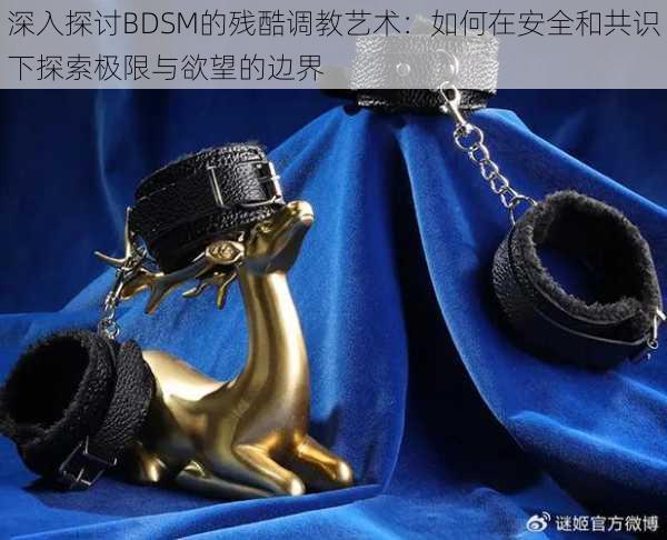 深入探讨BDSM的残酷调教艺术：如何在安全和共识下探索极限与欲望的边界