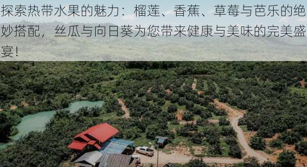 探索热带水果的魅力：榴莲、香蕉、草莓与芭乐的绝妙搭配，丝瓜与向日葵为您带来健康与美味的完美盛宴！