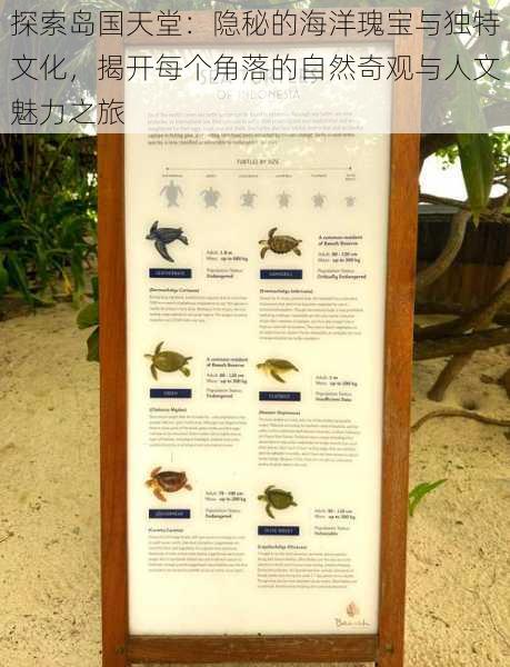 探索岛国天堂:隐秘的海洋瑰宝与独特文化,揭开每个角落的自然奇观与人文魅力之旅