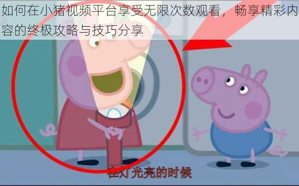 如何在小猪视频平台享受无限次数观看,畅享精彩内容的终极攻略与技巧分享