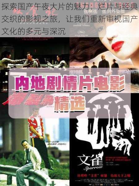 探索国产午夜大片的魅力:烂片与经典交织的影视之旅,让我们重新审视国产文化的多元与深沉