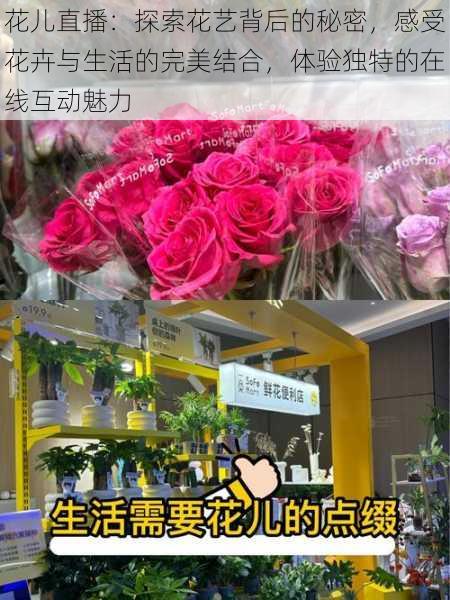 花儿直播:探索花艺背后的秘密,感受花卉与生活的完美结合,体验独特的在线互动魅力