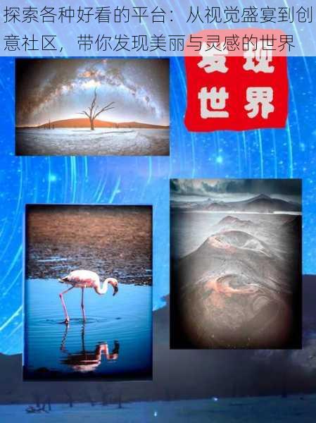 探索各种好看的平台:从视觉盛宴到创意社区,带你发现美丽与灵感的世界