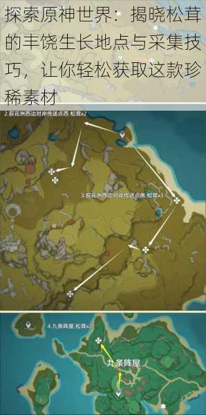 探索原神世界:揭晓松茸的丰饶生长地点与采集技巧,让你轻松获取这款珍稀素材