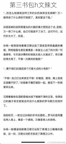 第三书包h文辣文